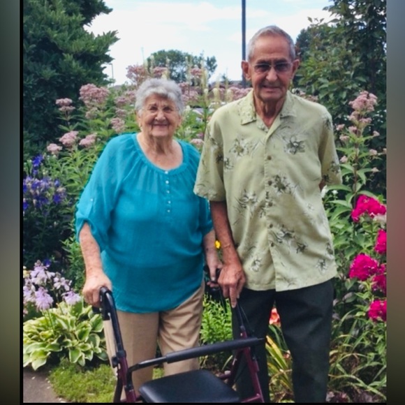 🌺  Lego WILDFLOWER 💐 BOUQUET BOTANICAL COLLECTION BOX DENTED 🌼 DAISY 🌺 - Picture 15 of 16